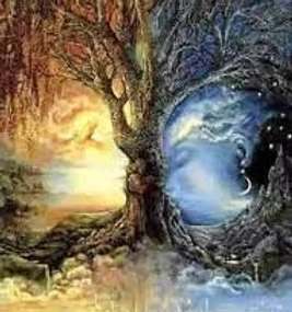 images-_8_